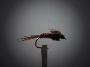 Size 12 Pheasant Tail Peacock